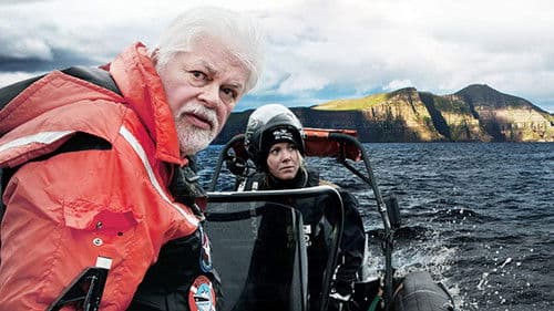 Whale Wars: Viking Shores Bild 1