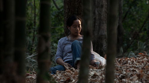 ดาวคะนอง Bild 3