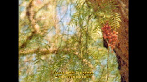 الحديقة السريّة Bild 2