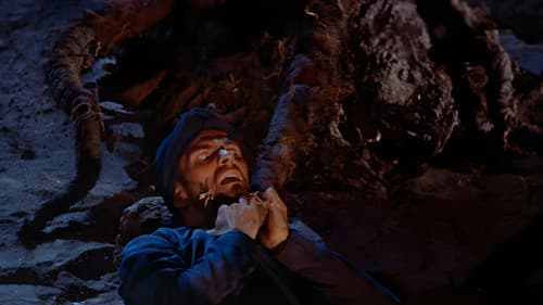 Der Gauner von Bagdad Bild 5