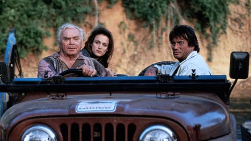 Der blaue Diamant Bild 1