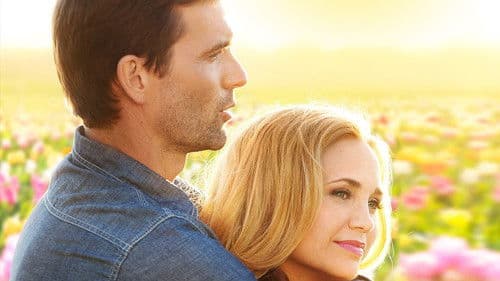 Tulips in Spring Bild 1