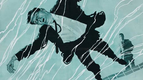 Geheimagent Barrett greift ein Bild 1