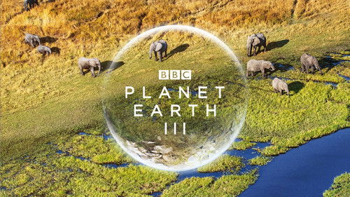 Unsere Erde III Bild 7