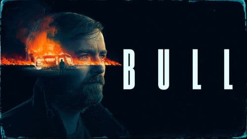 Bull Bild 3