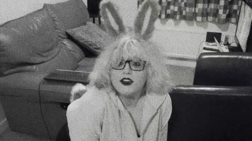 Pet Bunny Bild 1