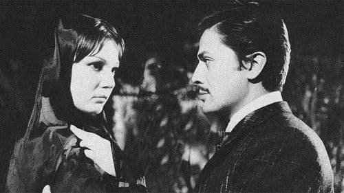 Haremde Dört Kadın Bild 2