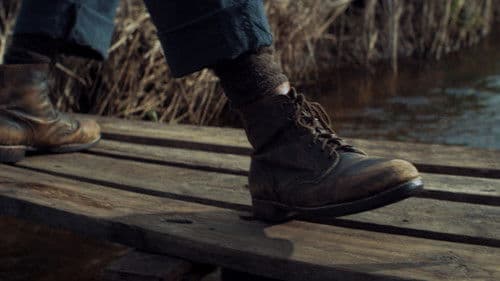 The Fish of My Life Bild 1