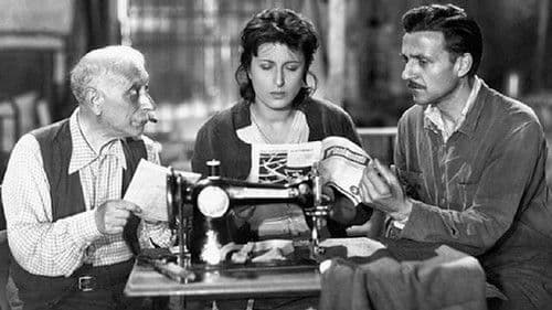 Abgeordnete Angelina Bild 1