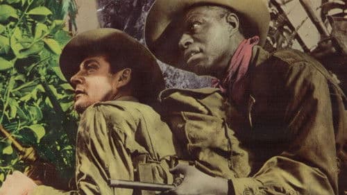 China-Legionär Bild 8