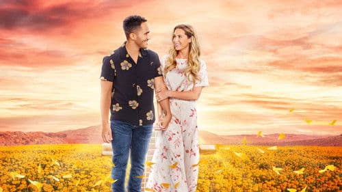 Love in the Limelight Bild 2