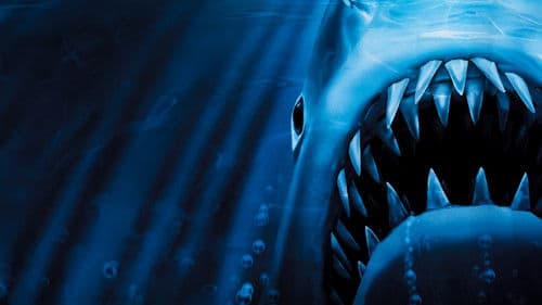 Der weiße Hai 3 Bild 6