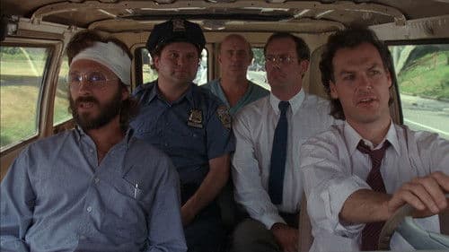 Das Traum Team Bild 2