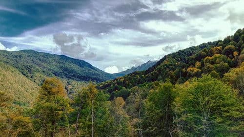 Reel Monsters Bild 2