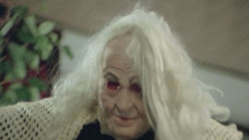 Zeuge des Wahnsinns Bild 5