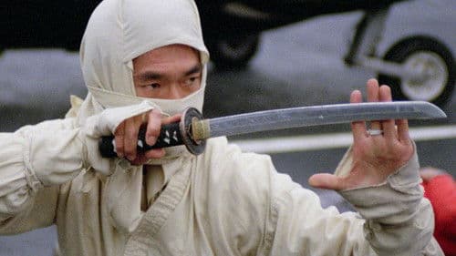 New York Ninja Bild 3