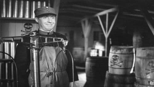 Schwejks Flegeljahre Bild 1