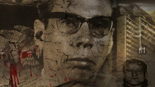 El paciente interno Bild 2