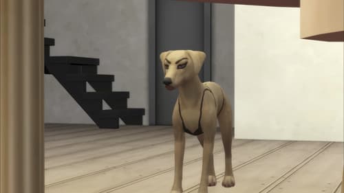 Disk Duny Mysteries Bild 3