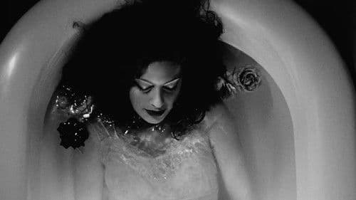 Lick the Star Bild 1