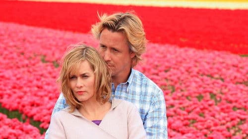 Tulpen aus Amsterdam Bild 1