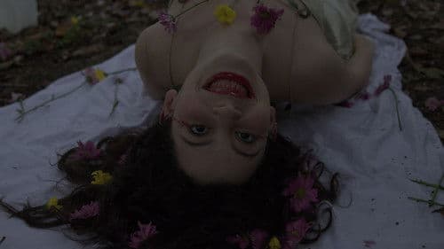 E Tudo Sob o Sol Está em Tom Bild 1