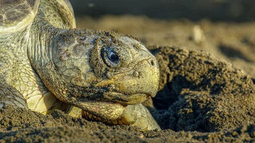 Tatort Strand Bild 4