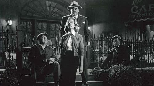 Duell in den Wolken Bild 1