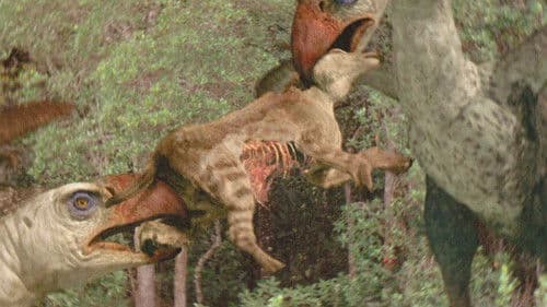 Die Erben der Saurier - Im Reich der Urzeit Bild 3