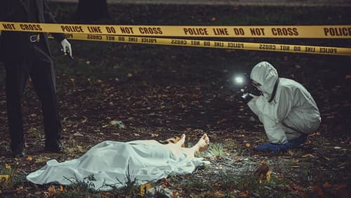 Kriminalfälle, die Geschichte machten Bild 1