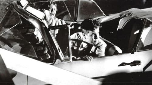 Young and Wild Bild 1