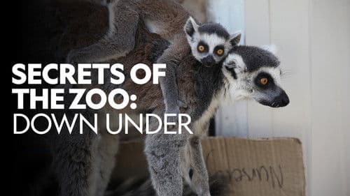 Secrets of the Zoo: Down Under Bild 4