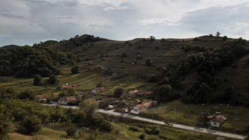 Hymn from the Hive Bild 8