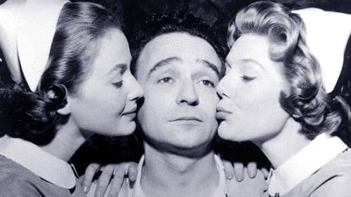 41 Grad Liebe Bild 5