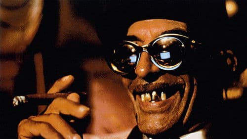 Schwarze Katze, weißer Kater Bild 4