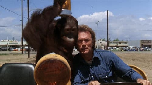 Der Mann aus San Fernando Bild 7