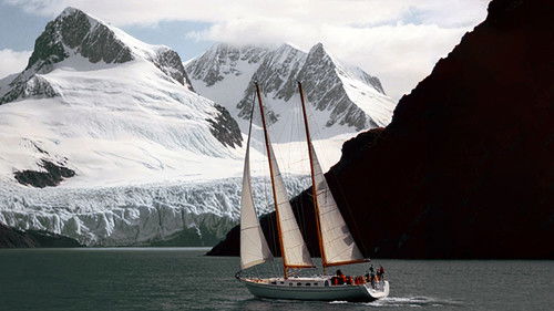 Où Vas-Tu Basile? Bild 1