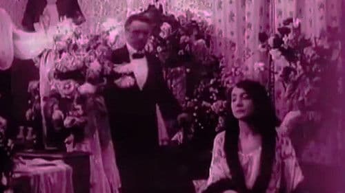 Сумерки женской души Bild 2