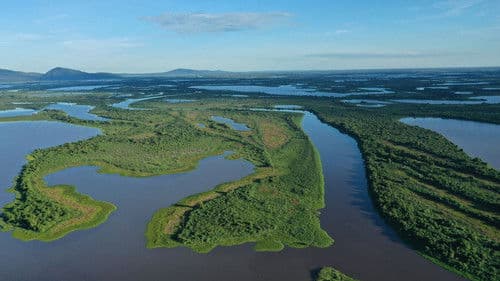 Naturwunder Pantanal - Brasiliens geheimnisvolle Wildnis Bild 2