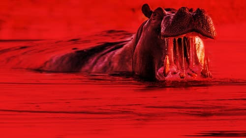 Dead or Alive Bild 2