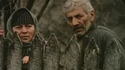 სტუმარი Bild 1