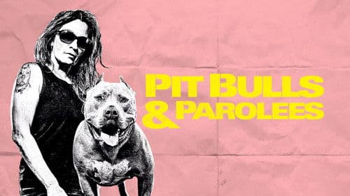 Pitbulls auf Bewährung Bild 3