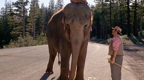 Die dicke Vera Bild 3