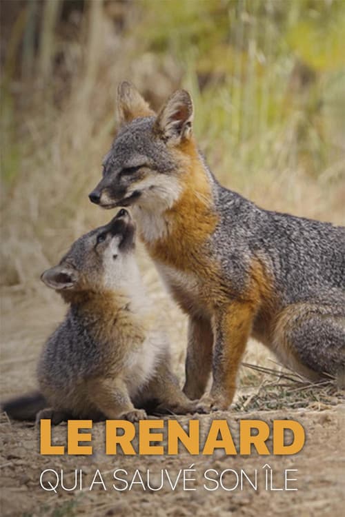 Wie der Graufuchs seine Insel rettete