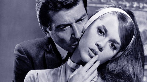 Der Chapman-Report Bild 7