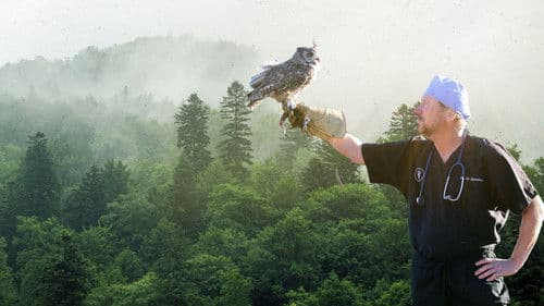 The Wild Life of Dr. Ole Bild 3