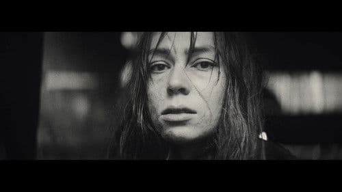 A Song For William Bird Bild 2