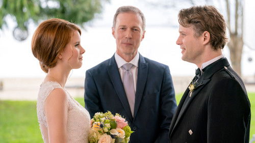 The Perfect Bride Bild 7