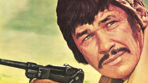 Brutale Stadt Bild 6