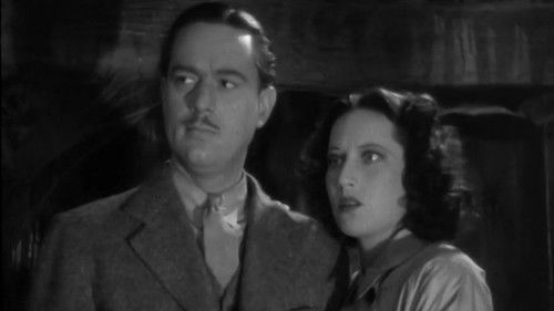 Sh! The Octopus Bild 3